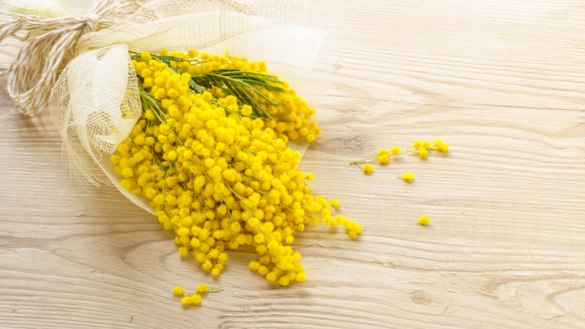 【ミモザジュエリー特集2023】各ジュエリーブランドから国際女性デーに合わせて発売されるミモザジュエリーをご紹介。【2023年3月第2週の